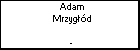 Adam Mrzygd