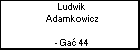 Ludwik Adamkowicz