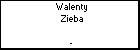 Walenty Zieba