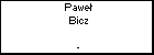 Pawe Bicz