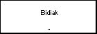  Bidiak